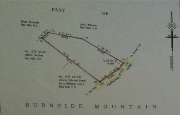 Fifteenth image of Part Of- Burnside Mountain in Red Hills, St. Andrew, Jamaica - property is For Sale