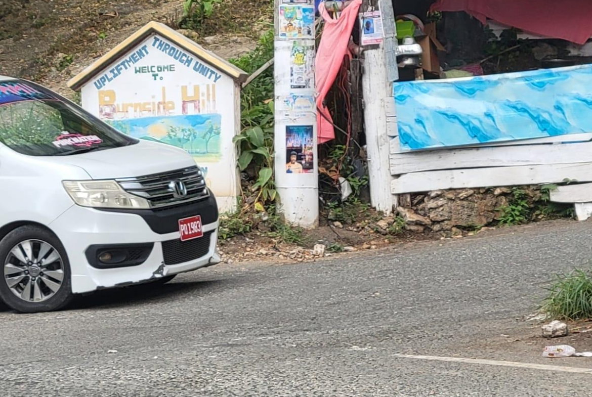 Sixteenth image of Part Of- Burnside Mountain in Red Hills, St. Andrew, Jamaica - property is For Sale