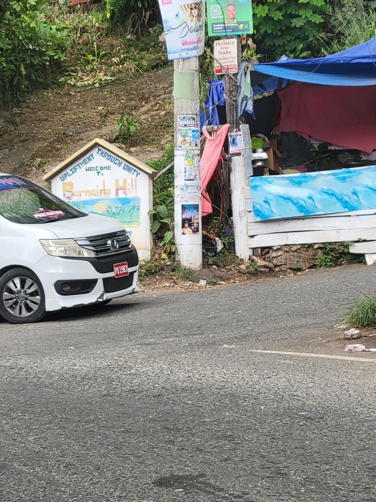 Sixteenth image of Part Of- Burnside Mountain in Red Hills, St. Andrew, Jamaica - property is For Sale