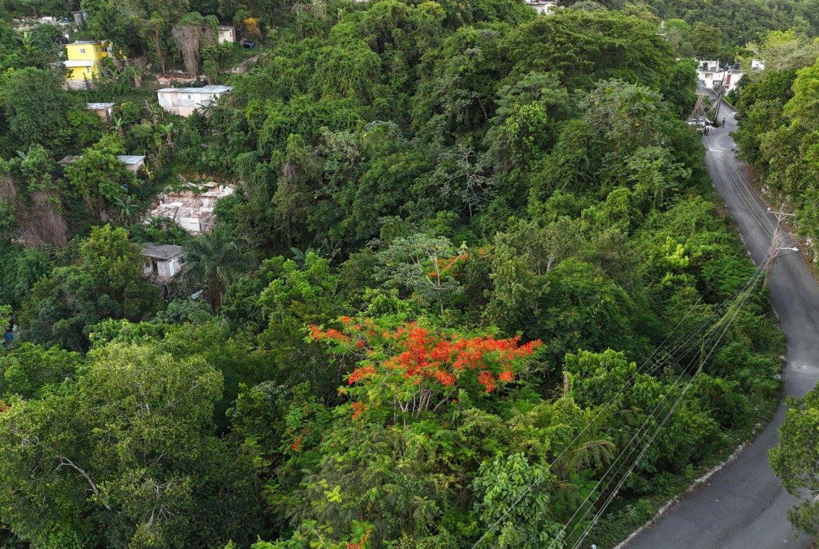 Third image of Part Of- Burnside Mountain in Red Hills, St. Andrew, Jamaica - property is For Sale