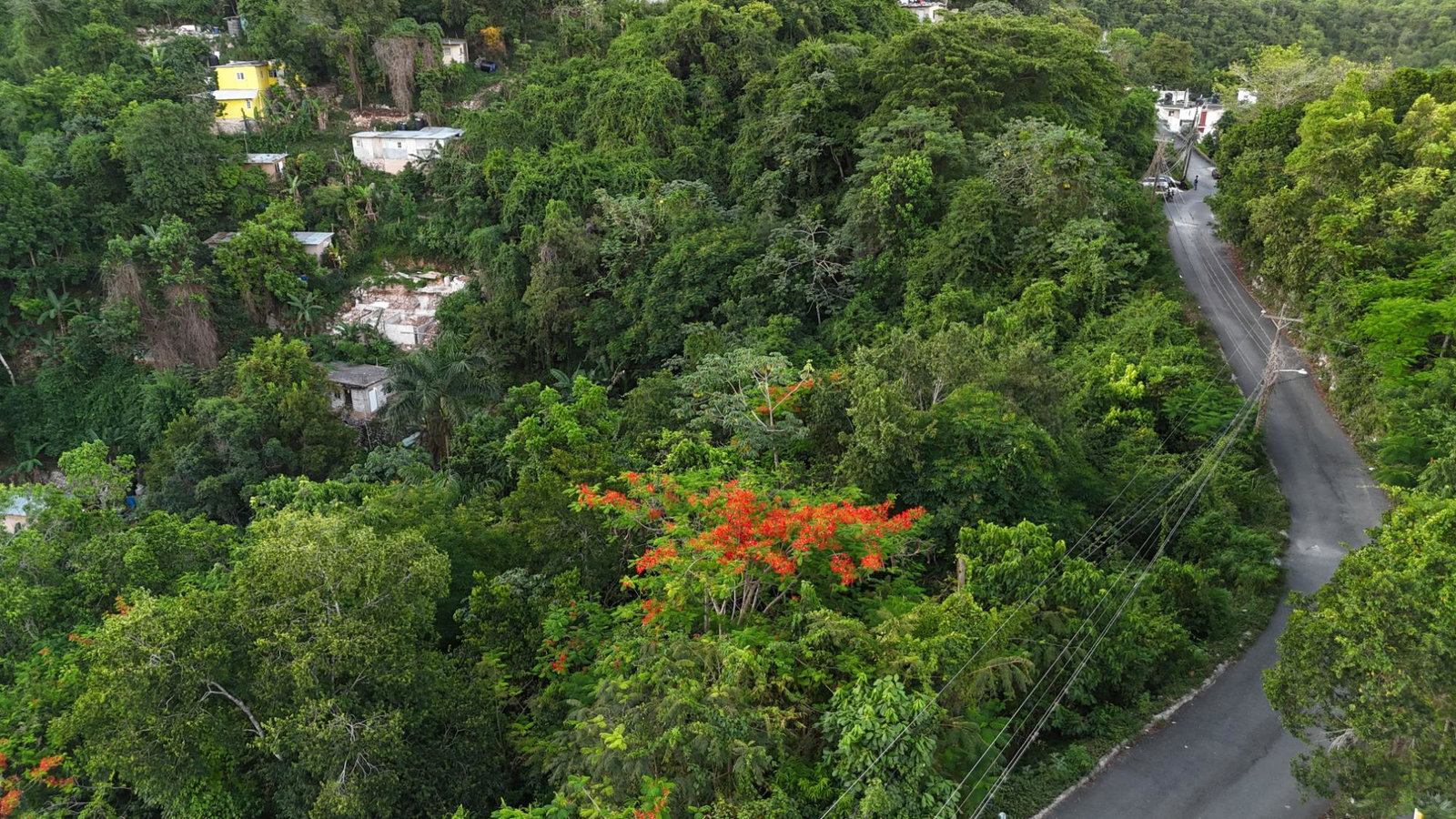 Third image of Part Of- Burnside Mountain in Red Hills, St. Andrew, Jamaica - property is For Sale