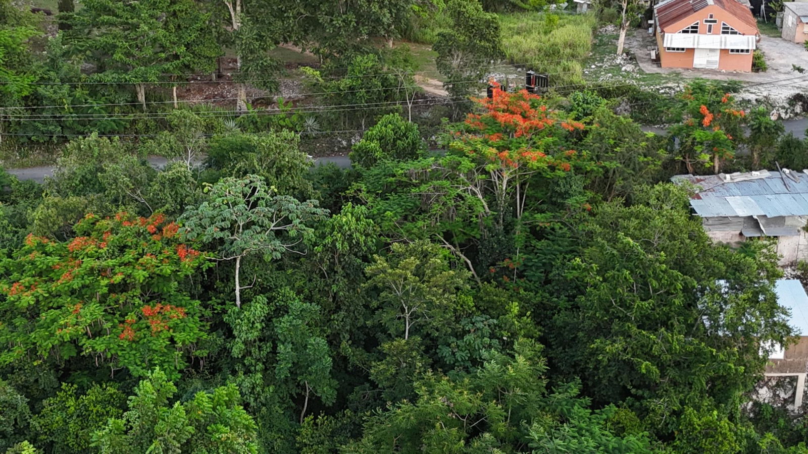 Fourth image of Part Of- Burnside Mountain in Red Hills, St. Andrew, Jamaica - property is For Sale