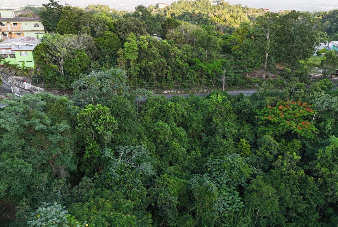 Fifth image of Part Of- Burnside Mountain in Red Hills, St. Andrew, Jamaica - property is For Sale