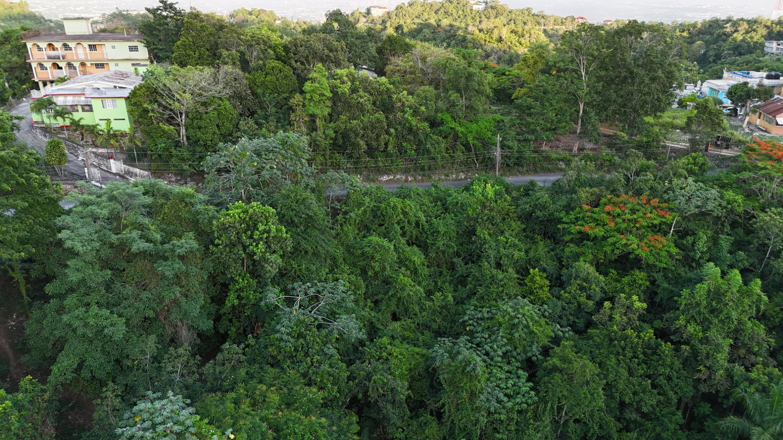 Fifth image of Part Of- Burnside Mountain in Red Hills, St. Andrew, Jamaica - property is For Sale