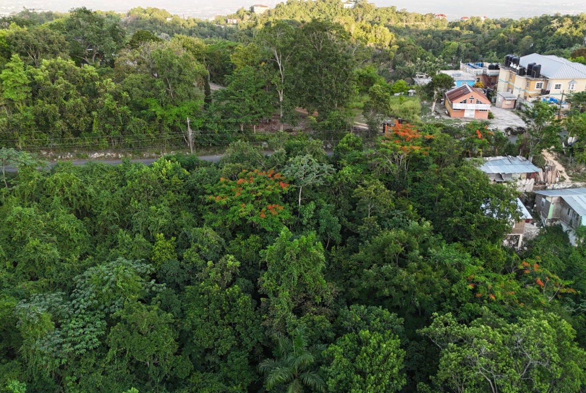 Sixth image of Part Of- Burnside Mountain in Red Hills, St. Andrew, Jamaica - property is For Sale