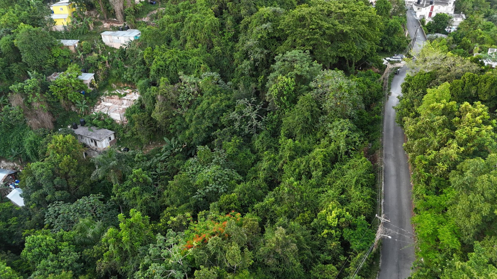 Eighth image of Part Of- Burnside Mountain in Red Hills, St. Andrew, Jamaica - property is For Sale