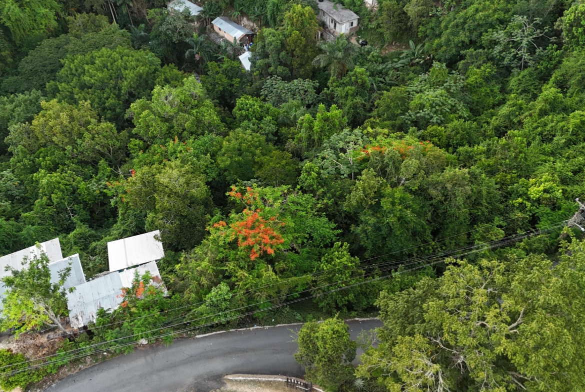 Ninth image of Part Of- Burnside Mountain in Red Hills, St. Andrew, Jamaica - property is For Sale