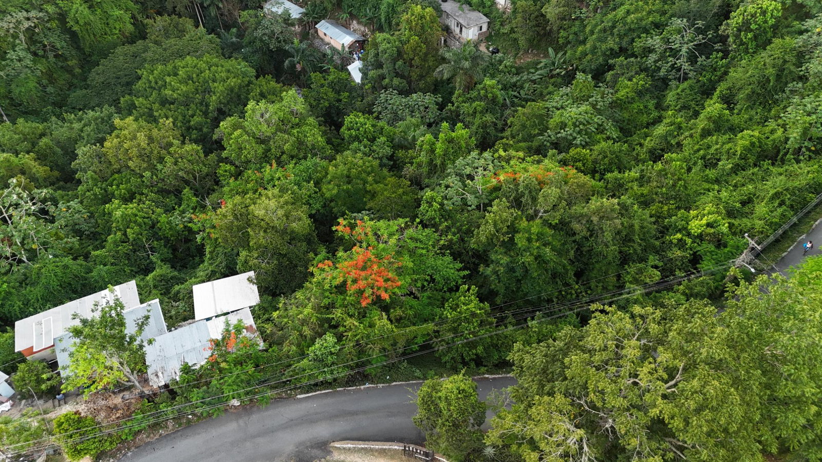 Ninth image of Part Of- Burnside Mountain in Red Hills, St. Andrew, Jamaica - property is For Sale