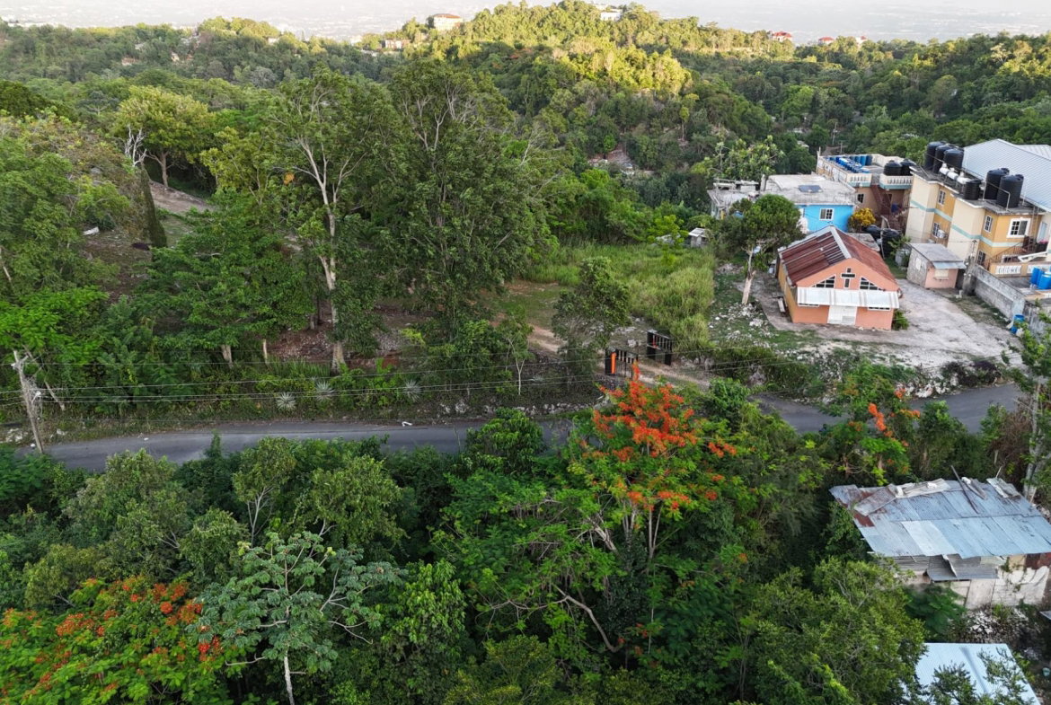 Tenth image of Part Of- Burnside Mountain in Red Hills, St. Andrew, Jamaica - property is For Sale