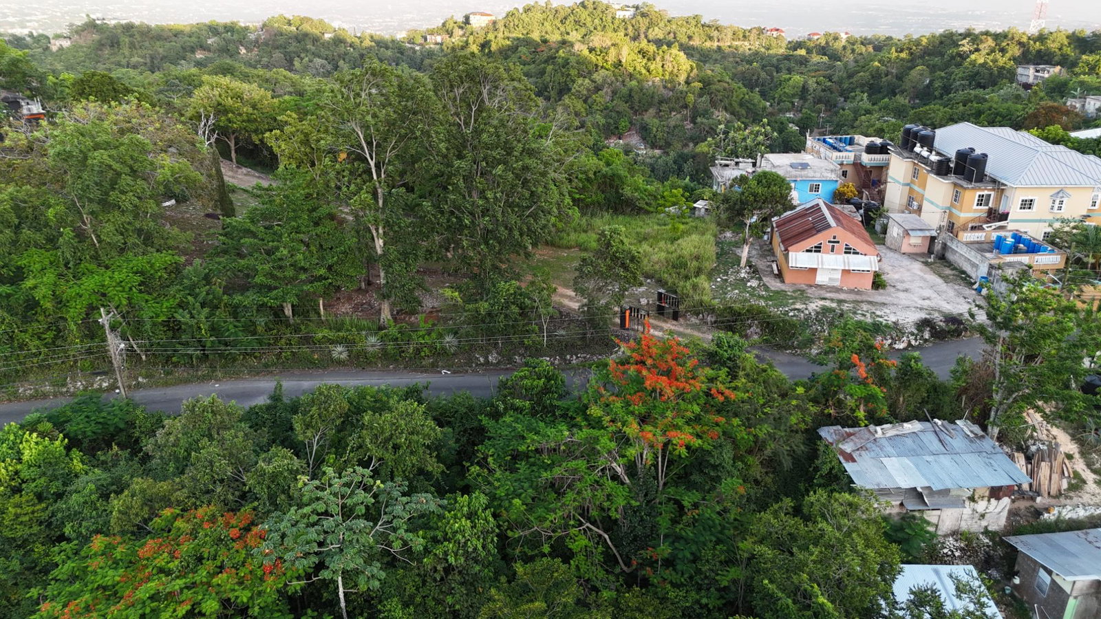 Tenth image of Part Of- Burnside Mountain in Red Hills, St. Andrew, Jamaica - property is For Sale