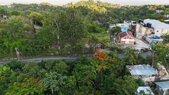 Tenth image of Part Of- Burnside Mountain in Red Hills, St. Andrew, Jamaica - property is For Sale
