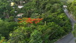 First image of Part Of- Burnside Mountain in Red Hills, St. Andrew, Jamaica - property is For Sale
