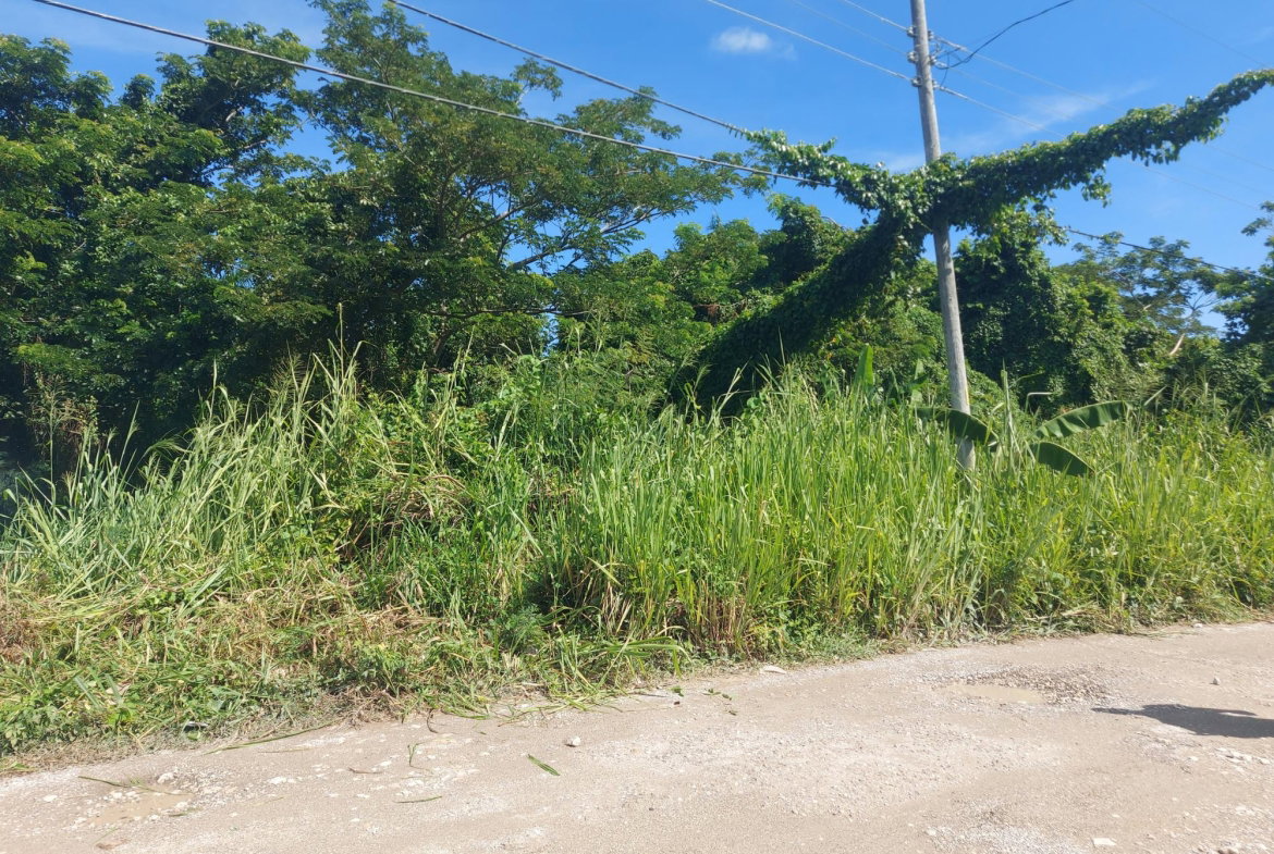 First image of 18 Caribbean Avenue in Tower Isle, St. Mary, Jamaica - property is For Sale