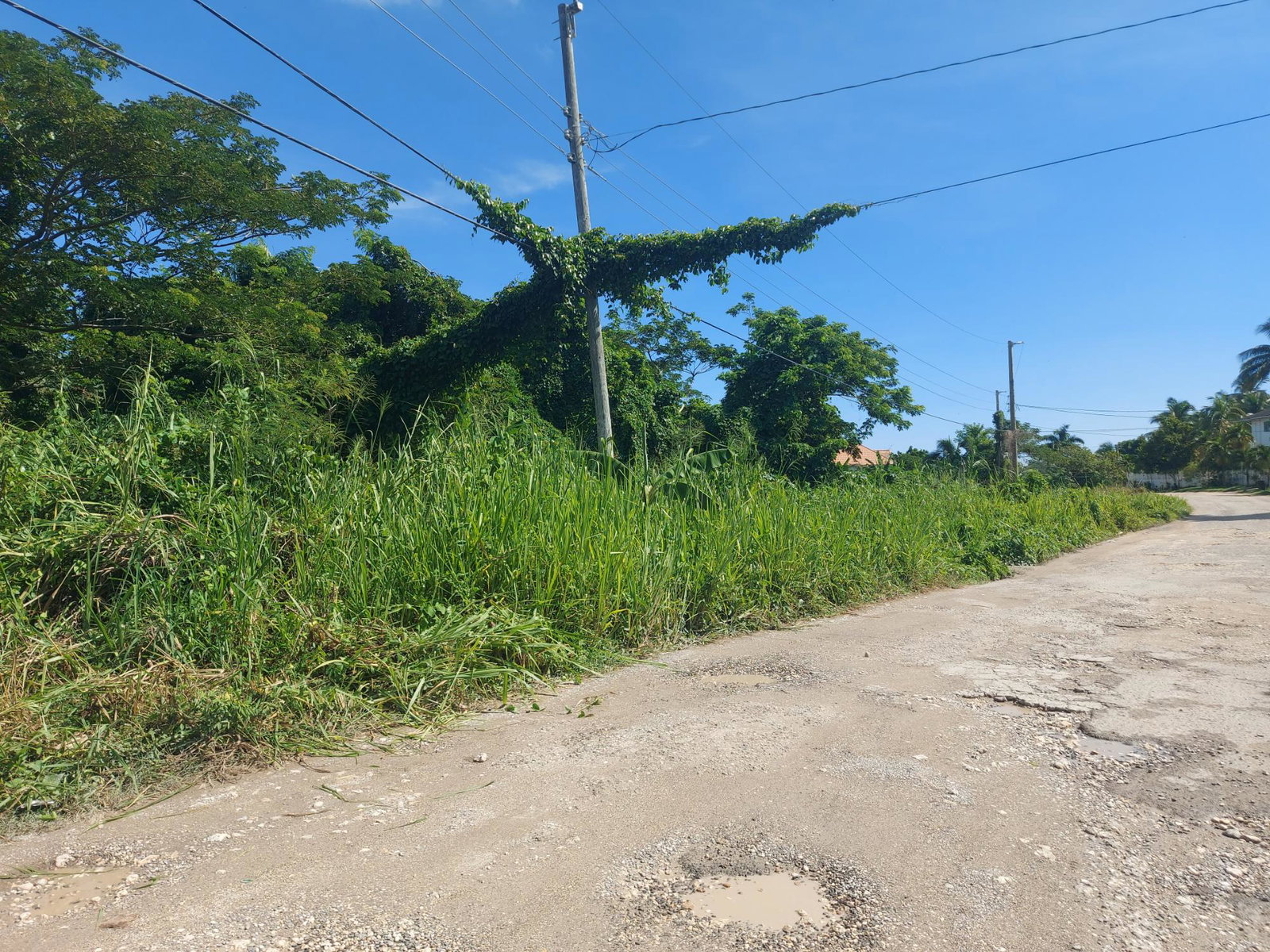 Third image of 18 Caribbean Avenue in Tower Isle, St. Mary, Jamaica - property is For Sale