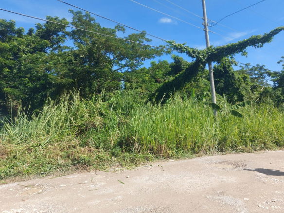 First image of 18 Caribbean Avenue in Tower Isle, St. Mary, Jamaica - property is For Sale