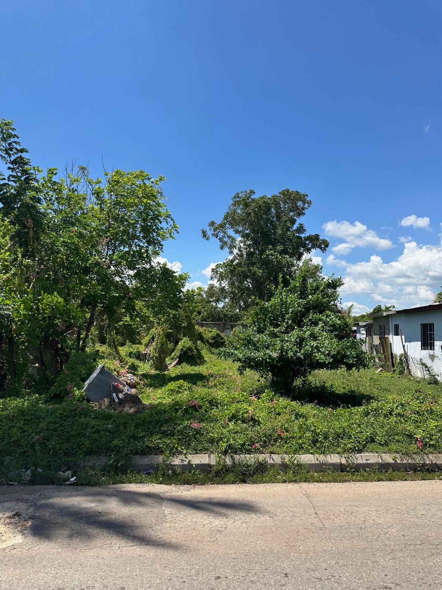 Residential-Lot-for-Sale-in-Clarendon-Jamaica-–-8684-sqft-on-Western-Park-Road Second image of Western Park Road in May Pen, Clarendon, Jamaica - property is For Sale