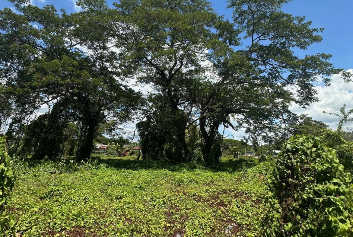 Fourth image of Western Park Road in May Pen, Clarendon, Jamaica - property is For Sale