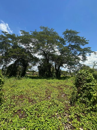 Fourth image of Western Park Road in May Pen, Clarendon, Jamaica - property is For Sale