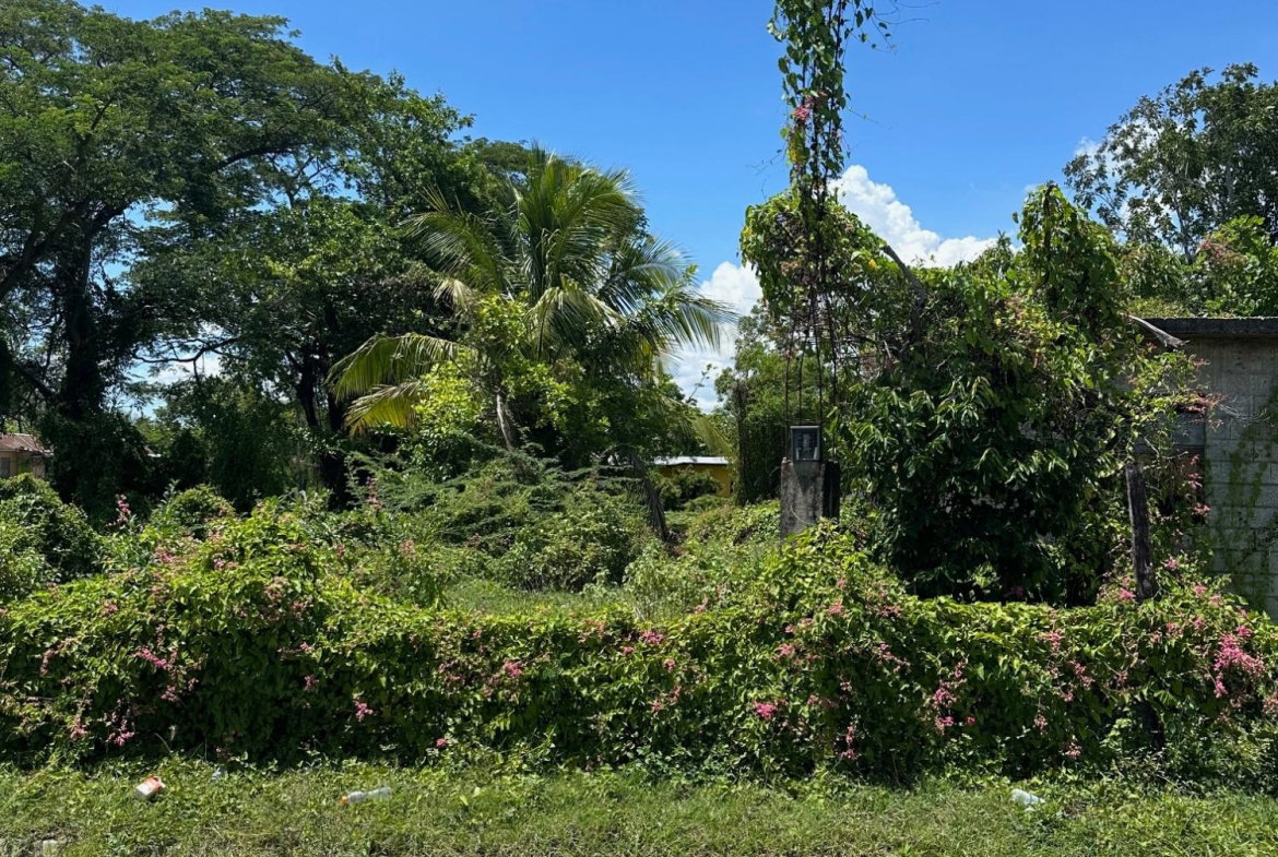 Fifth image of Western Park Road in May Pen, Clarendon, Jamaica - property is For Sale
