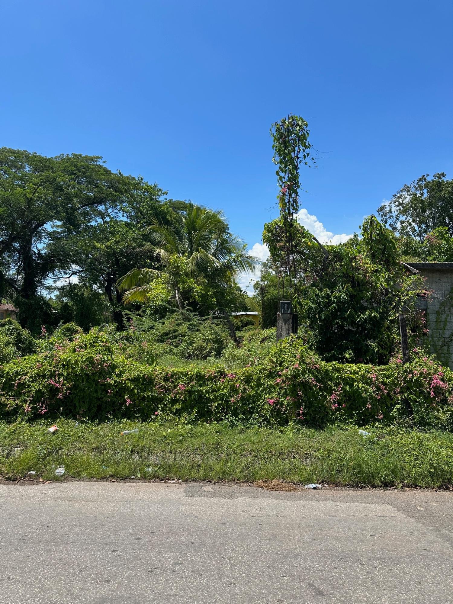 Residential-Lot-for-Sale-in-Clarendon-Jamaica-–-8684-sqft-on-Western-Park-Road Fifth image of Western Park Road in May Pen, Clarendon, Jamaica - property is For Sale