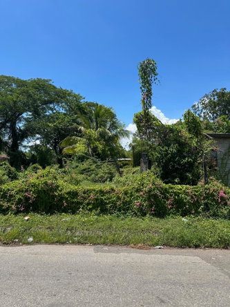 Fifth image of Western Park Road in May Pen, Clarendon, Jamaica - property is For Sale