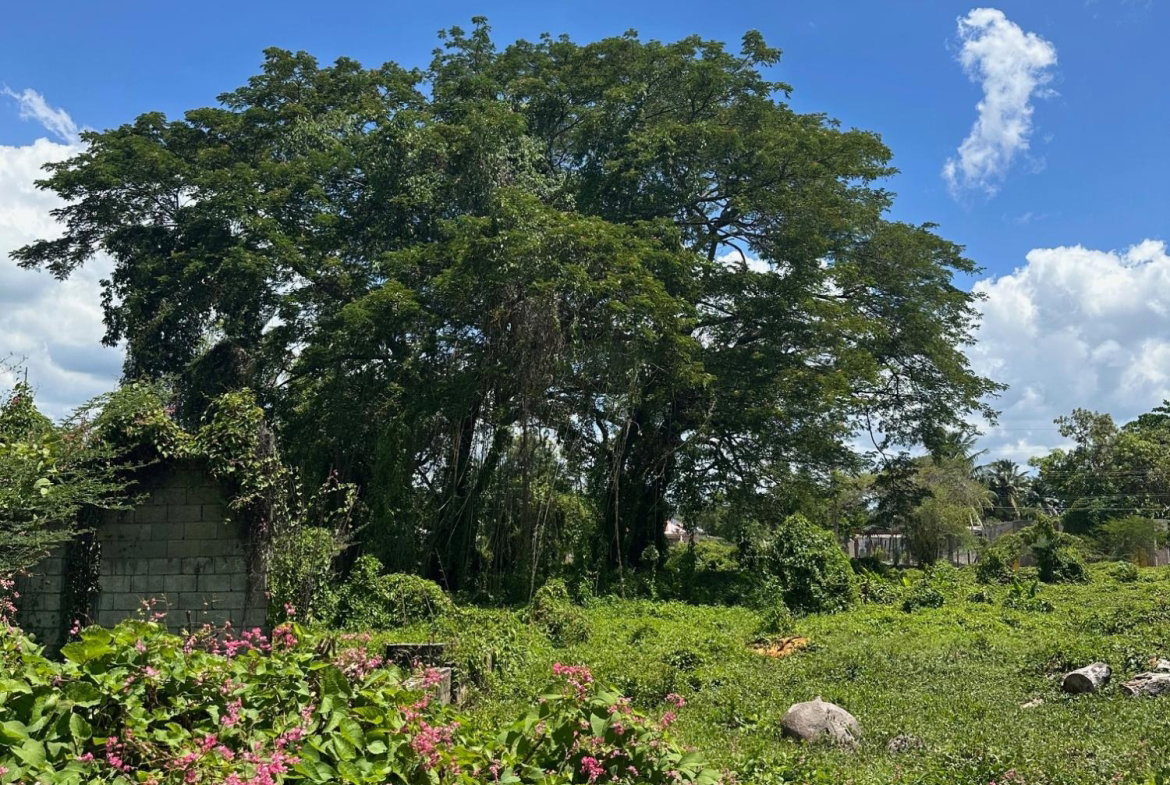 Sixth image of Western Park Road in May Pen, Clarendon, Jamaica - property is For Sale