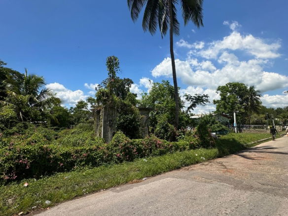 First image of Western Park Road in May Pen, Clarendon, Jamaica - property is For Sale