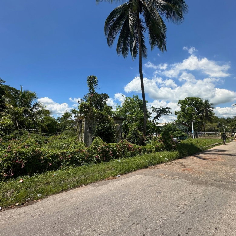 First image of Western Park Road in May Pen, Clarendon, Jamaica - property is For Sale