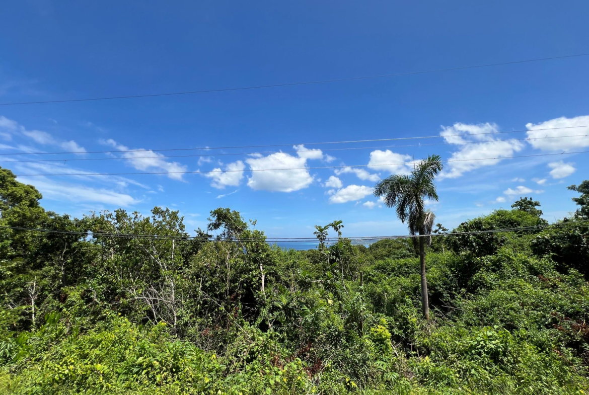 Twenty-First image of Lot 17 Clarridge Hall in Spring Garden, St. James, Jamaica - property is For Sale