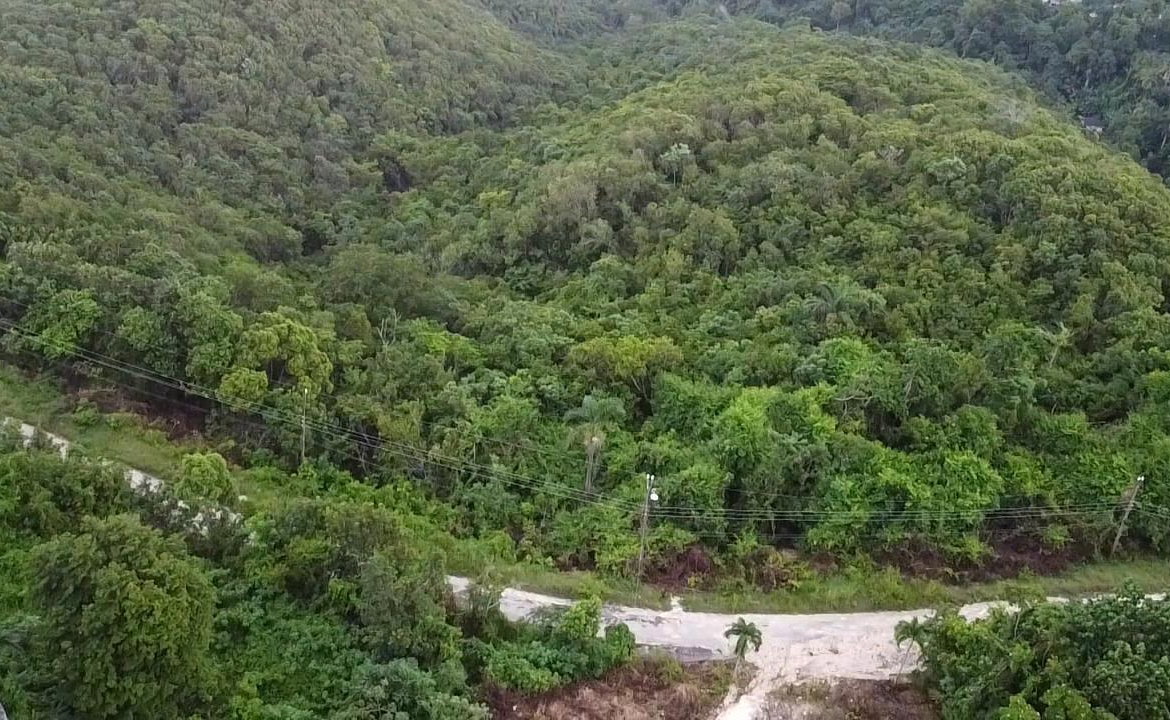 Twenty-Fifth image of Lot 17 Clarridge Hall in Spring Garden, St. James, Jamaica - property is For Sale