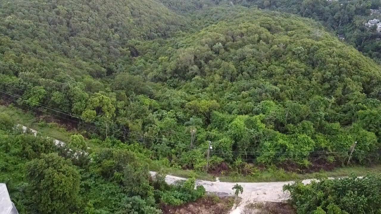 Twenty-Fifth image of Lot 17 Clarridge Hall in Spring Garden, St. James, Jamaica - property is For Sale
