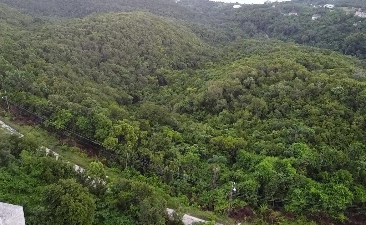 Twenty-Sixth image of Lot 17 Clarridge Hall in Spring Garden, St. James, Jamaica - property is For Sale