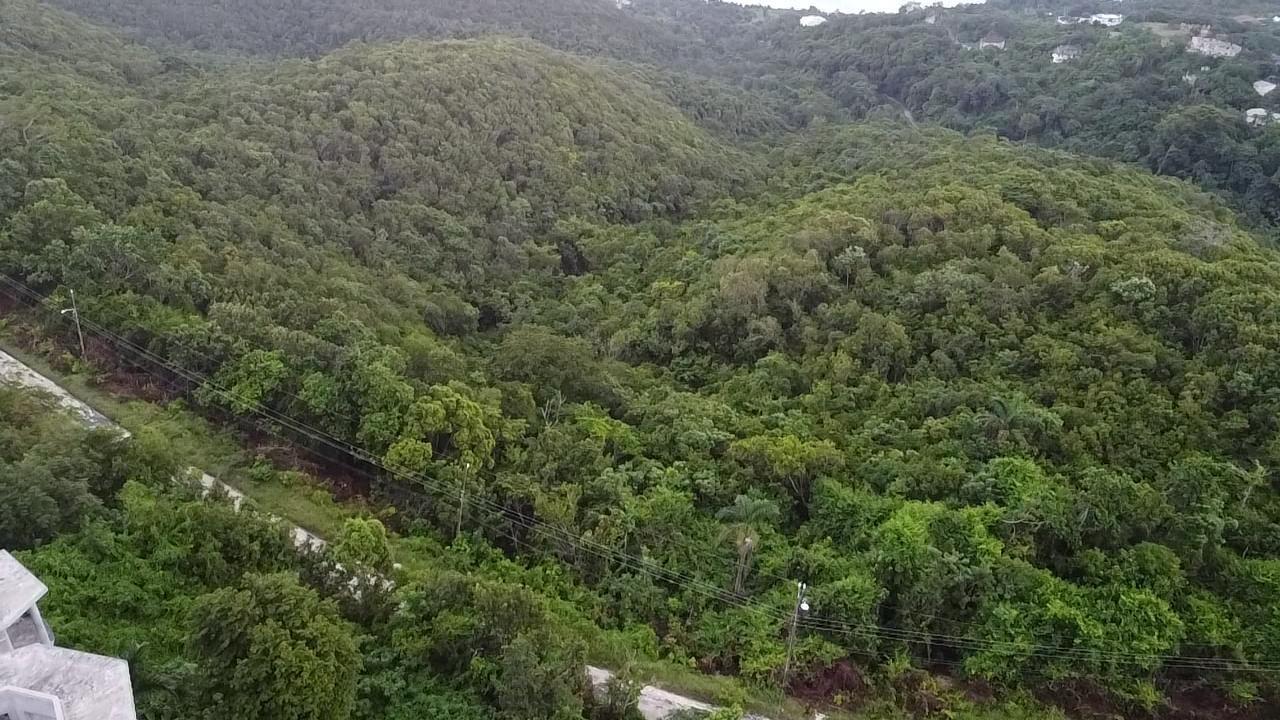 Twenty-Sixth image of Lot 17 Clarridge Hall in Spring Garden, St. James, Jamaica - property is For Sale