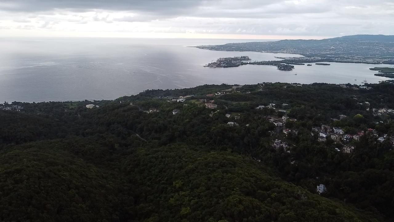 Twenty-Seventh image of Lot 17 Clarridge Hall in Spring Garden, St. James, Jamaica - property is For Sale