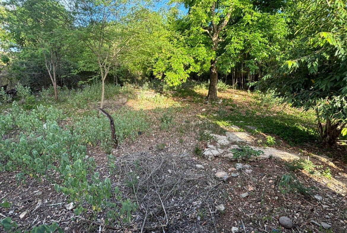 Fourth image of Coates Pen/may Pen in May Pen, Clarendon, Jamaica - property is For Sale
