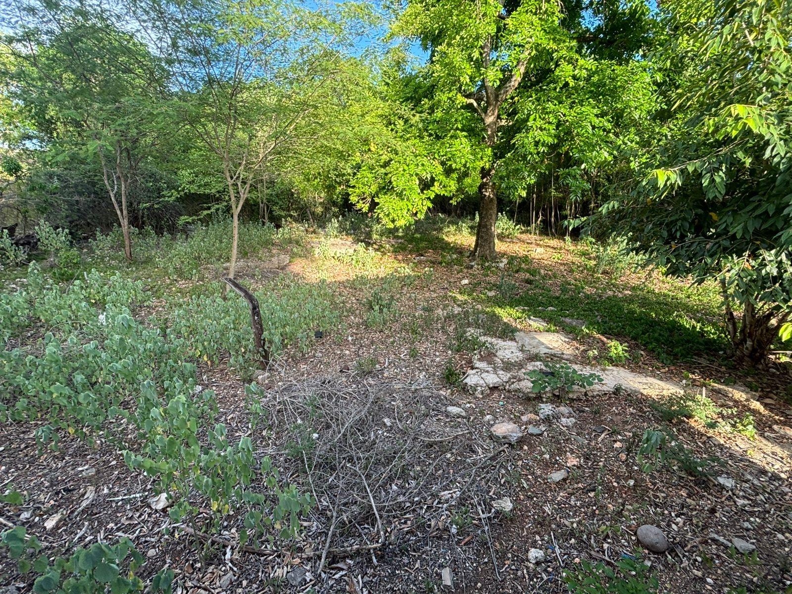 Fourth image of Coates Pen/may Pen in May Pen, Clarendon, Jamaica - property is For Sale