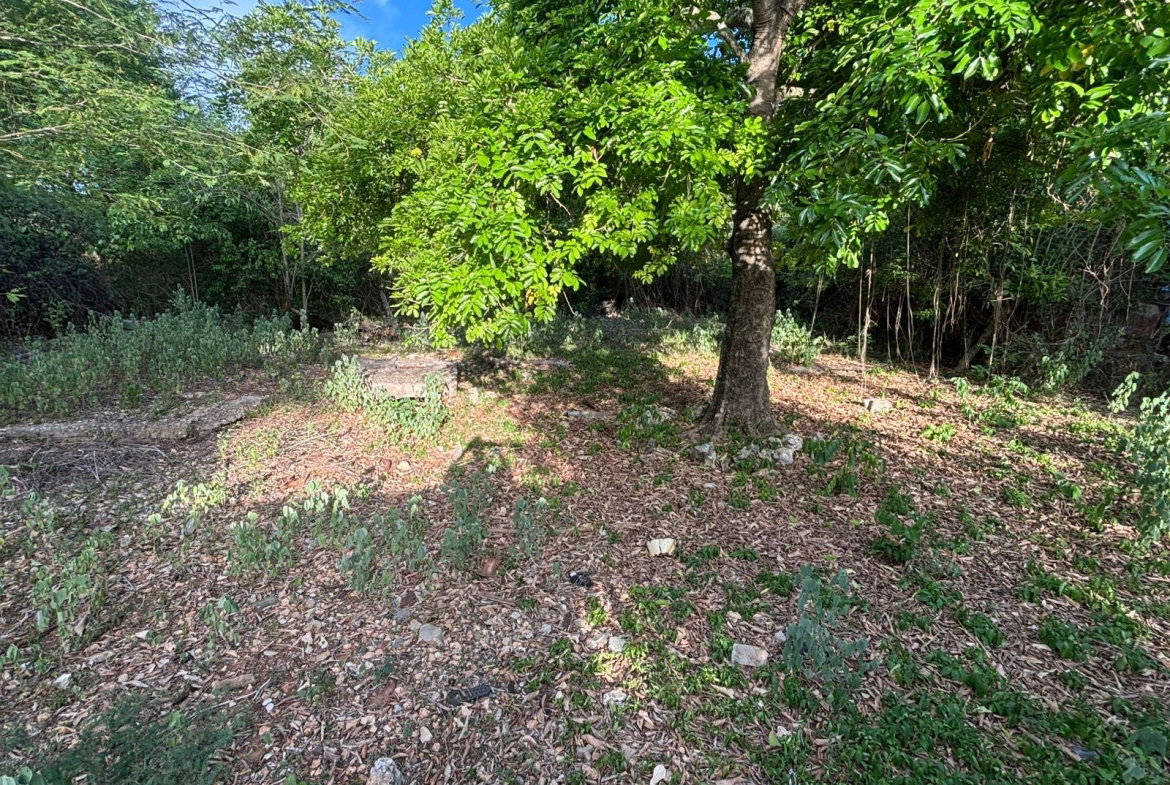 Fifth image of Coates Pen/may Pen in May Pen, Clarendon, Jamaica - property is For Sale