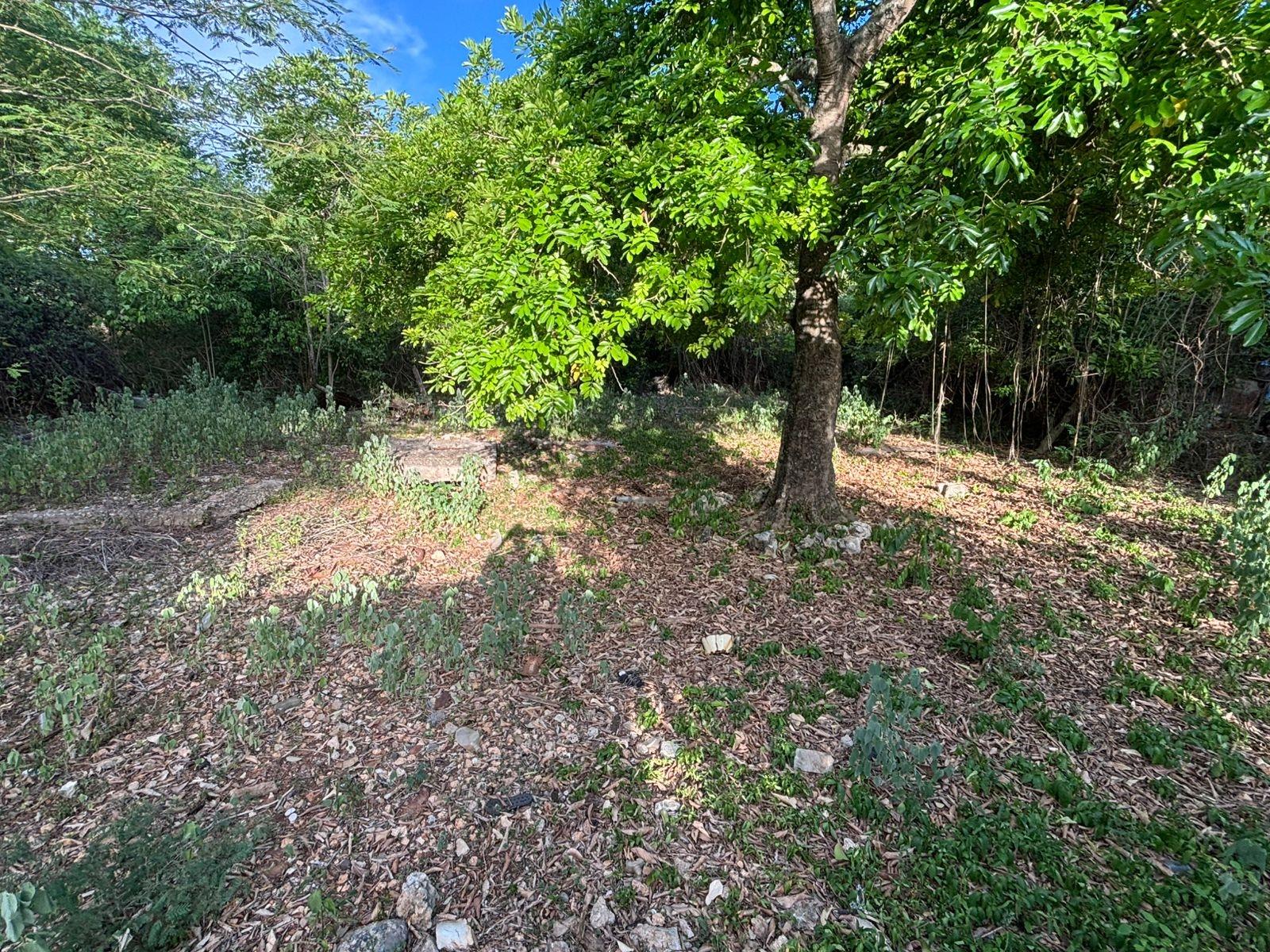 Fifth image of Coates Pen/may Pen in May Pen, Clarendon, Jamaica - property is For Sale