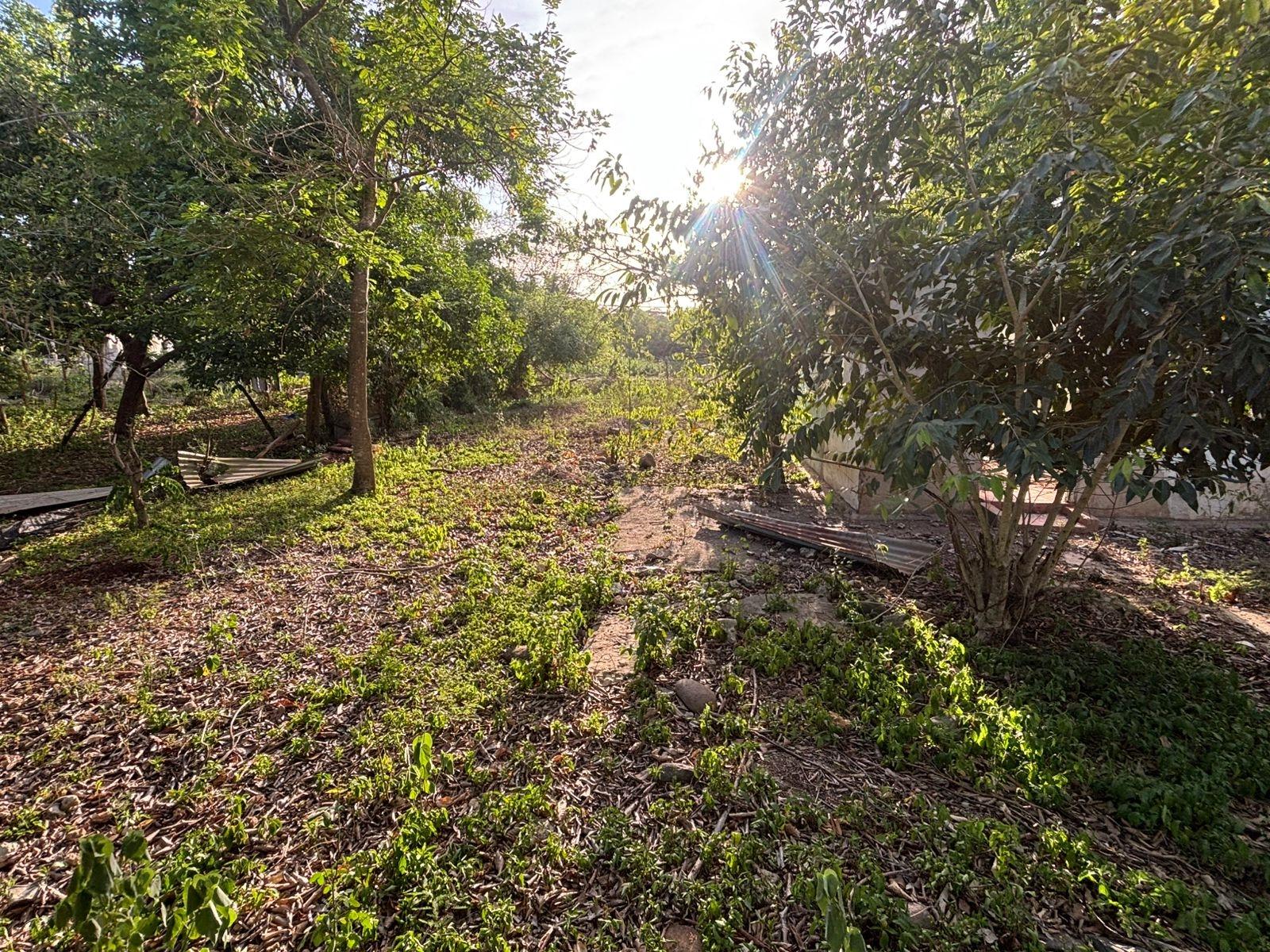 Seventh image of Coates Pen/may Pen in May Pen, Clarendon, Jamaica - property is For Sale