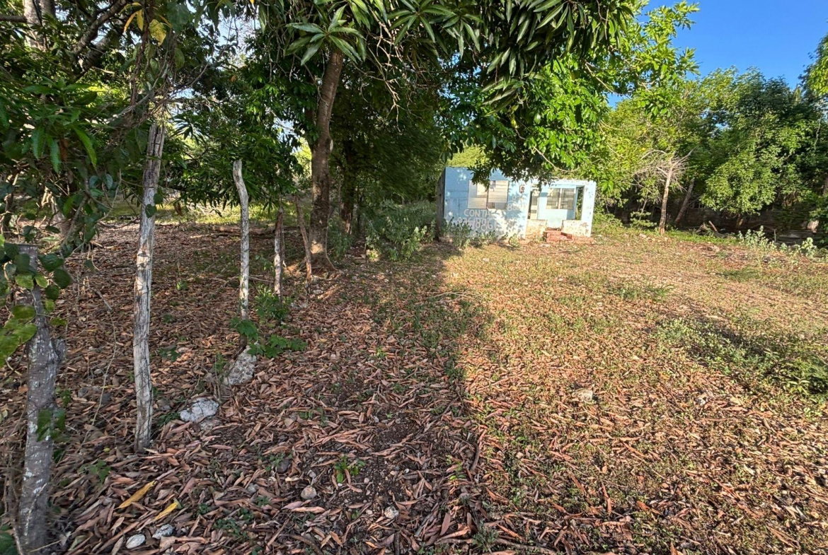 Ninth image of Coates Pen/may Pen in May Pen, Clarendon, Jamaica - property is For Sale
