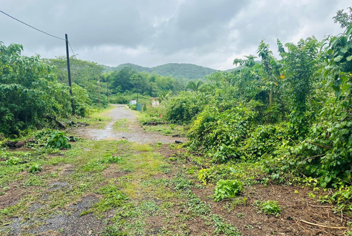 Second image of Content Adelphi in Hampden, Trelawny, Jamaica - property is For Sale