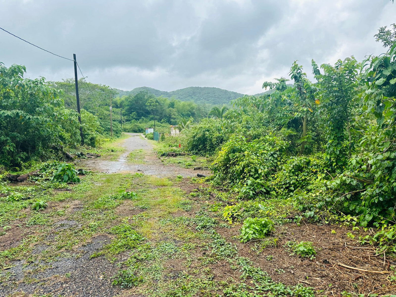 Residential-Lot-for-Sale-in-Content-Adelphi-Trelawny-Jamaica-9270-Sq.Ft Second image of Content Adelphi in Hampden, Trelawny, Jamaica - property is For Sale