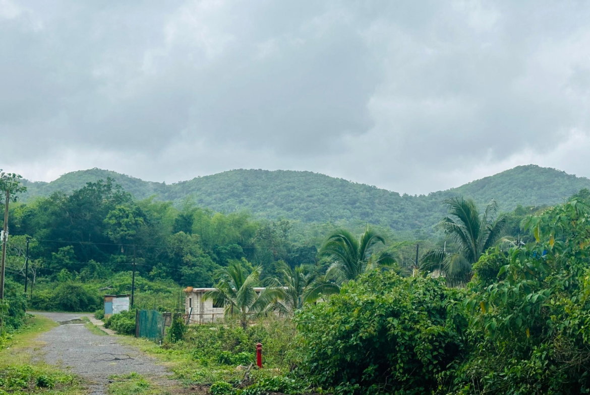 Third image of Content Adelphi in Hampden, Trelawny, Jamaica - property is For Sale