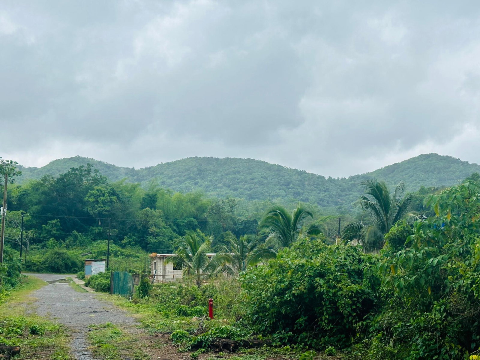 Residential-Lot-for-Sale-in-Content-Adelphi-Trelawny-Jamaica-9270-Sq.Ft Third image of Content Adelphi in Hampden, Trelawny, Jamaica - property is For Sale