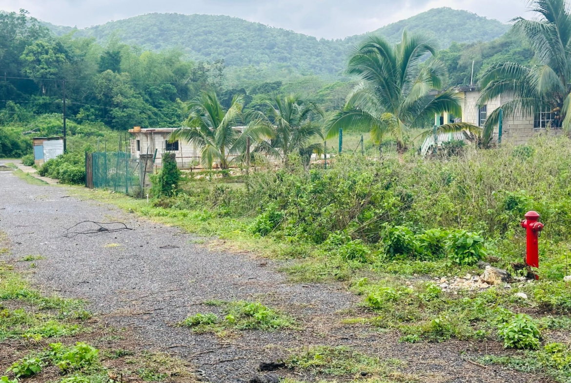 Fourth image of Content Adelphi in Hampden, Trelawny, Jamaica - property is For Sale