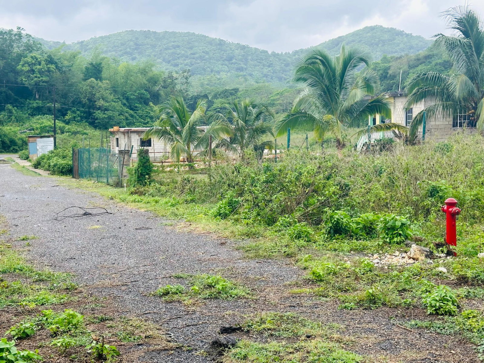 Residential-Lot-for-Sale-in-Content-Adelphi-Trelawny-Jamaica-9270-Sq.Ft Fourth image of Content Adelphi in Hampden, Trelawny, Jamaica - property is For Sale
