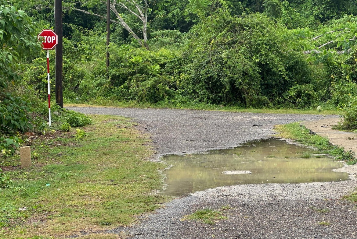 Fifth image of Content Adelphi in Hampden, Trelawny, Jamaica - property is For Sale