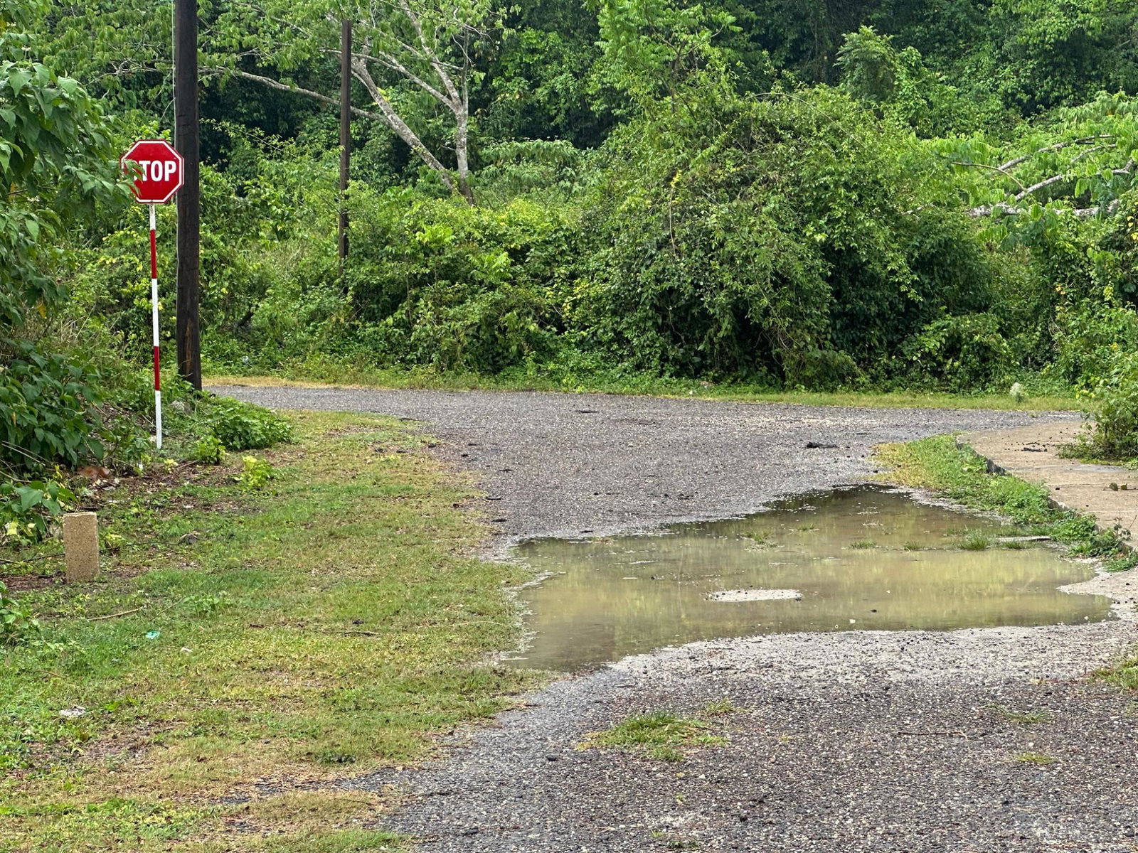 Residential-Lot-for-Sale-in-Content-Adelphi-Trelawny-Jamaica-9270-Sq.Ft Fifth image of Content Adelphi in Hampden, Trelawny, Jamaica - property is For Sale