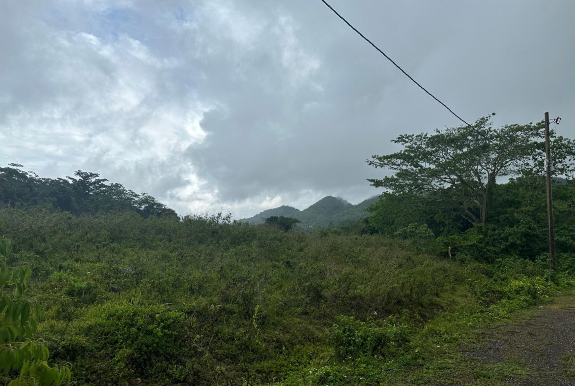 Sixth image of Content Adelphi in Hampden, Trelawny, Jamaica - property is For Sale