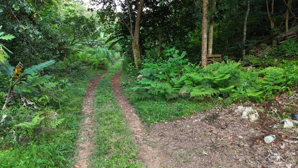 Twelfth image of Part Of- Coopers Hill in Red Hills, St. Andrew, Jamaica - property is For Sale